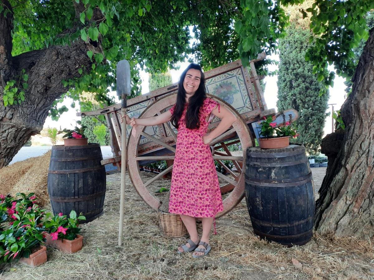 Tenuta Coppa Zuccari Citta Sant'Angelo Εξωτερικό φωτογραφία
