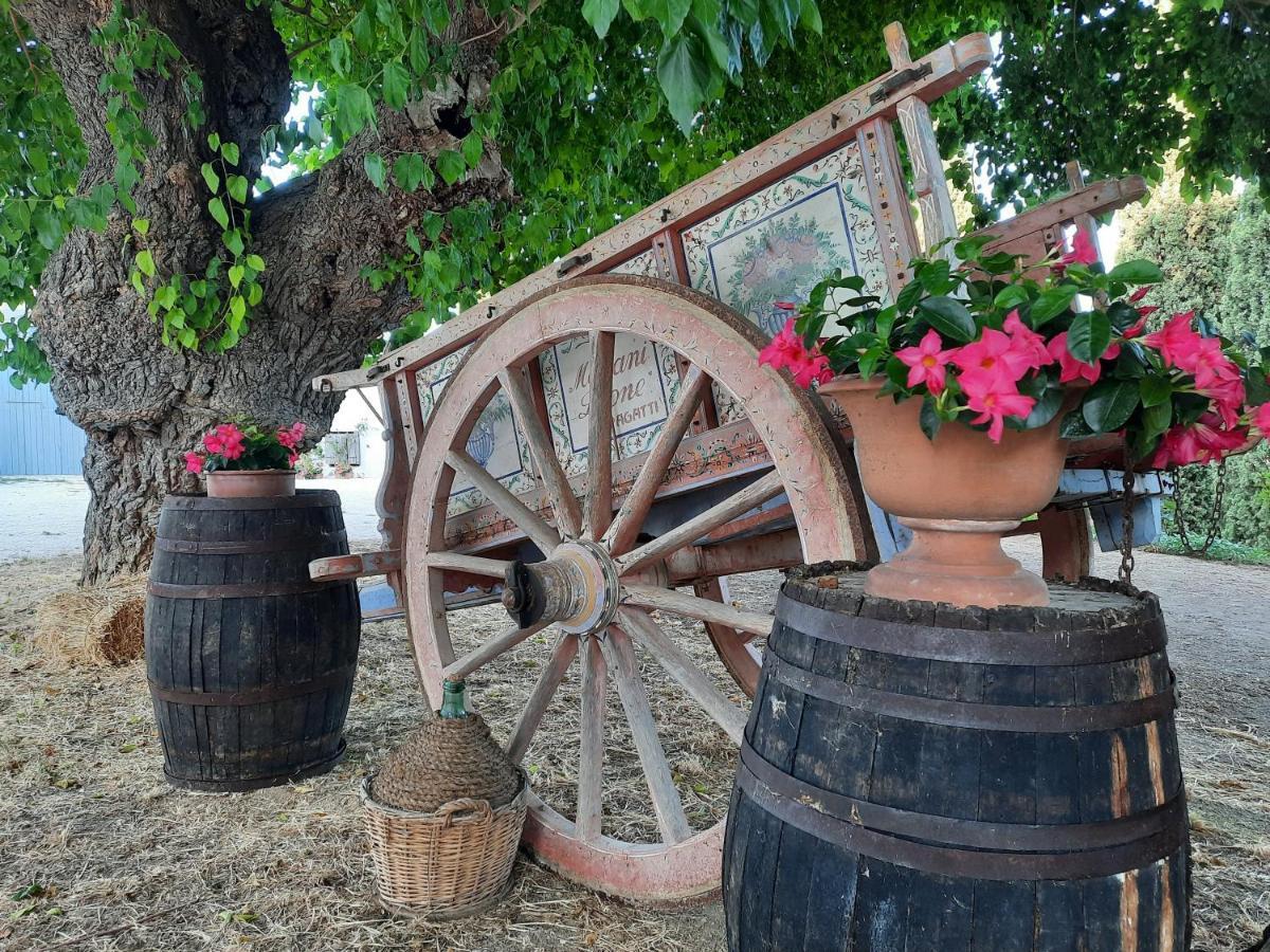 Tenuta Coppa Zuccari Citta Sant'Angelo Εξωτερικό φωτογραφία