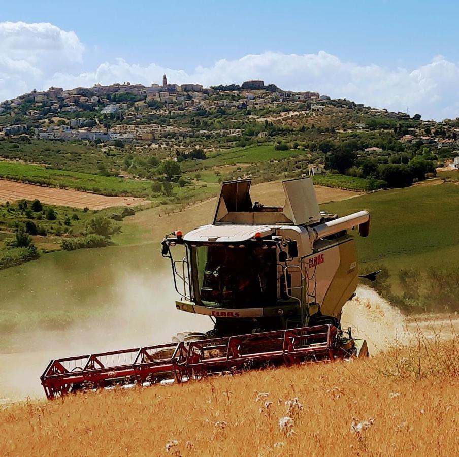 Tenuta Coppa Zuccari Citta Sant'Angelo Εξωτερικό φωτογραφία